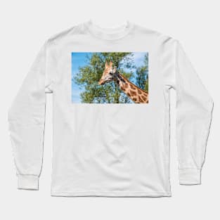 Close up photo of a Rothschild Giraffe head Long Sleeve T-Shirt